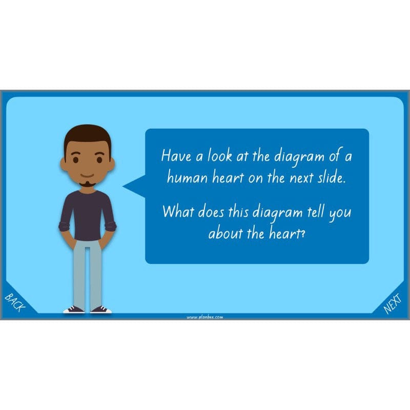 PlanBee Healthy Bodies Animals including Humans Year 6 Planning