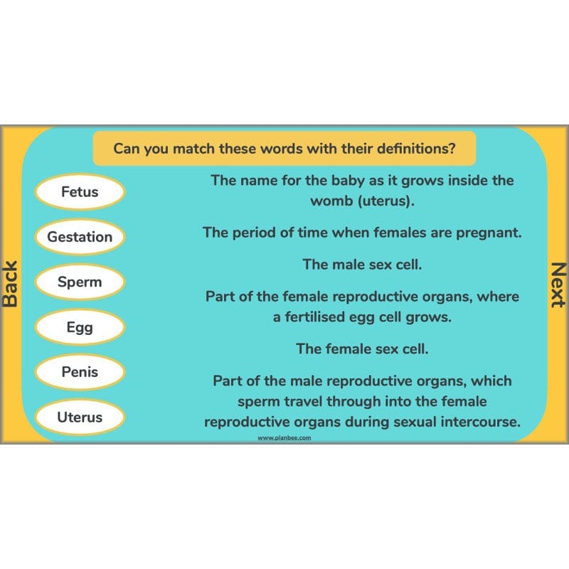 PlanBee Human Life Cycle KS2 lessons | Year 5 Science by PlanBee