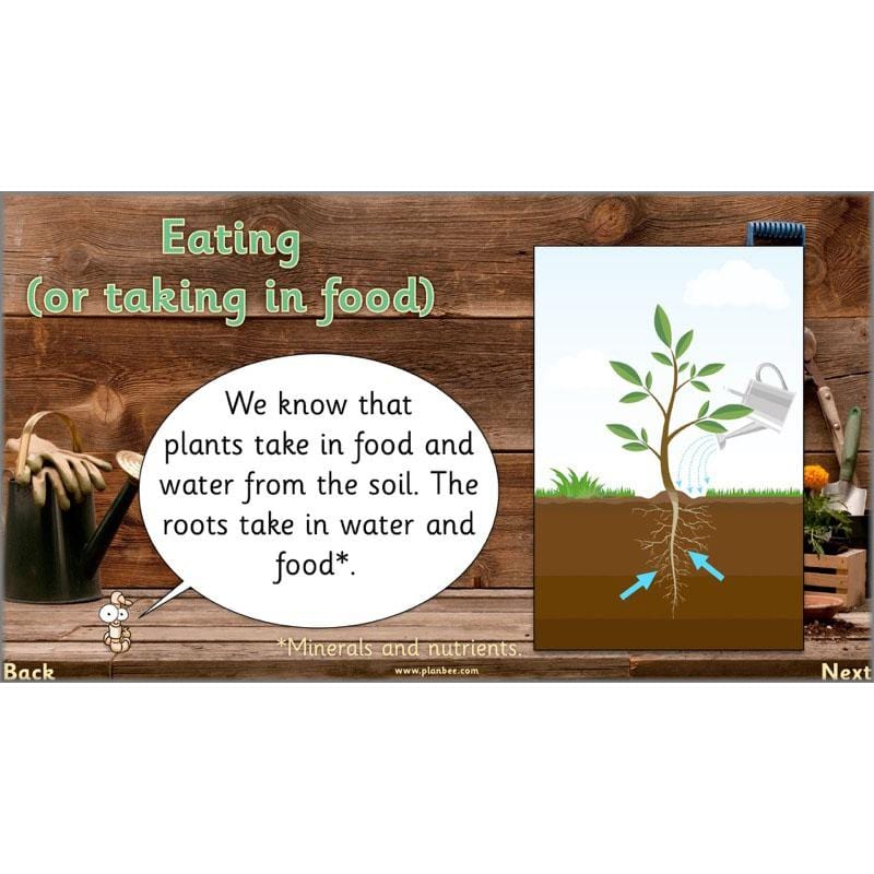 PlanBee Secret World of Plants - KS1 Science Scheme of Work: Year 2