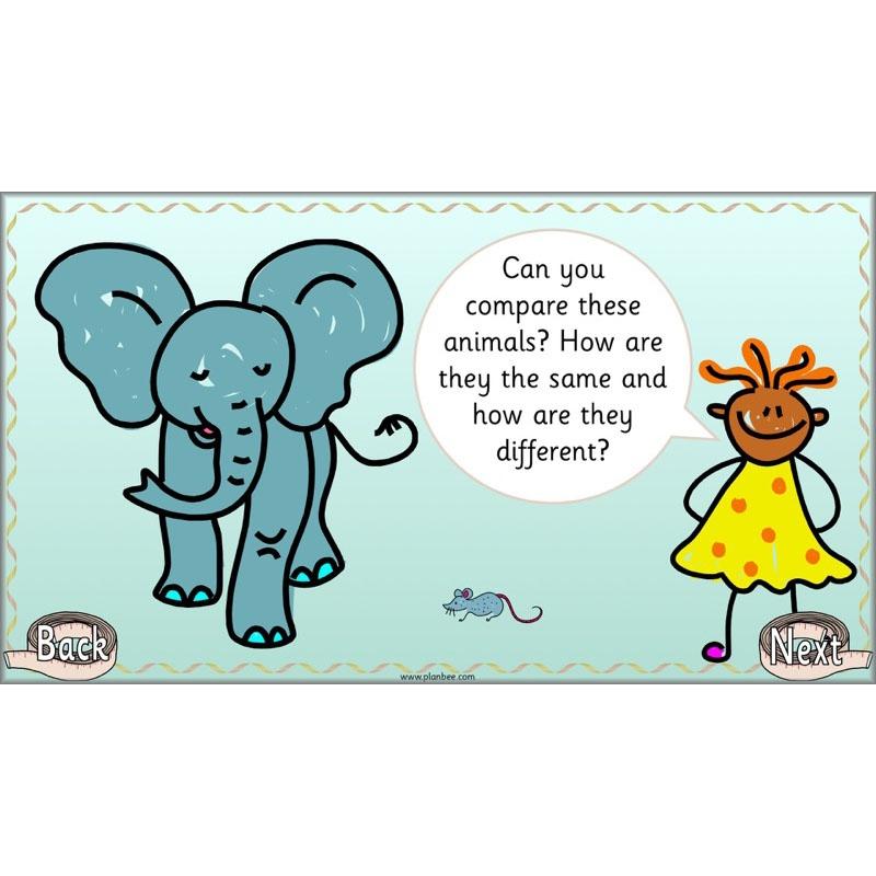 PlanBee Let's compare length, height and mass - KS1 Maths Resources and Plans