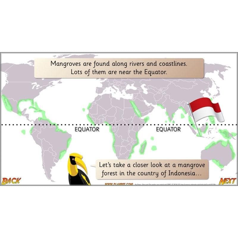 PlanBee Let's go to the Jungle Geography lessons for KS1