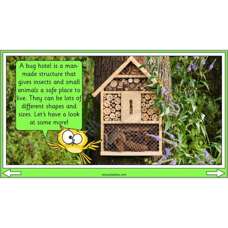 PlanBee Biodiversity KS1 Linking Local Wildlife ESR Lessons by PlanBee