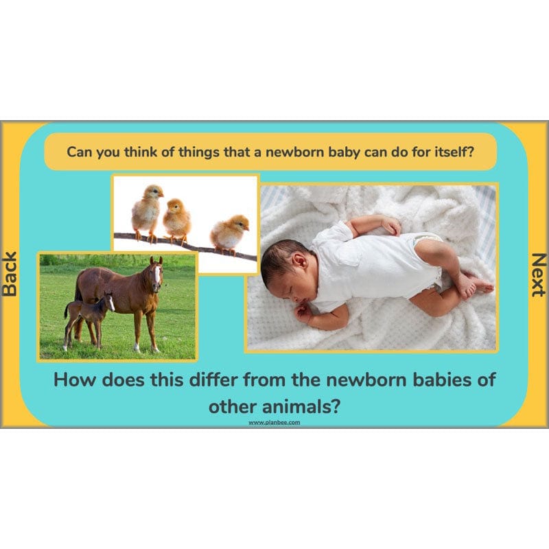 PlanBee Human Life Cycle KS2 lessons | Year 5 Science by PlanBee