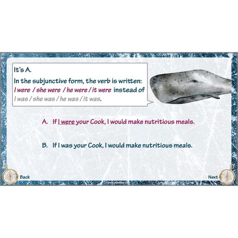 PlanBee Shackleton's Journey KS2 English Planning | PlanBee