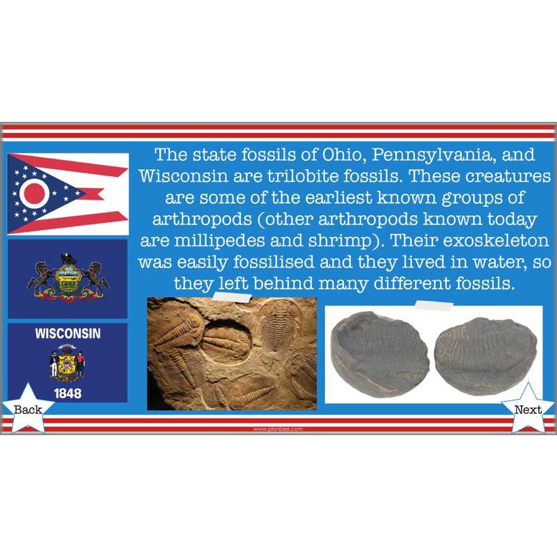 PlanBee The Unforgettable Science of America: KS2 Science Planning