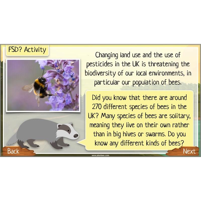 PlanBee Ecosystems for Kids | Just One Change ESR Lessons | PlanBee