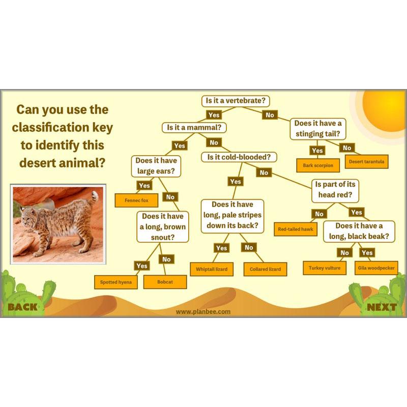 PlanBee Desert Life: KS2 Science Plans