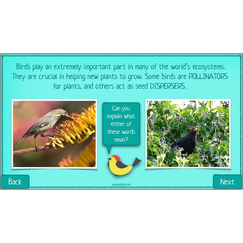PlanBee Biodiversity KS2 ESR Lesson What is Biodiversity? by PlanBee