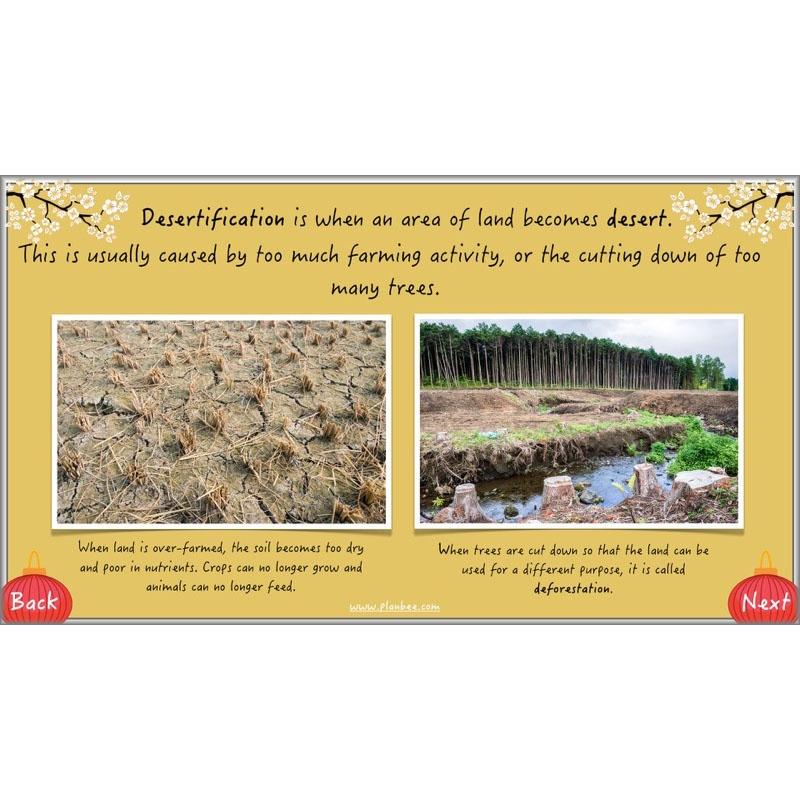 PlanBee China KS2 Geography Lesson Planning Pack for Year 5 & 6