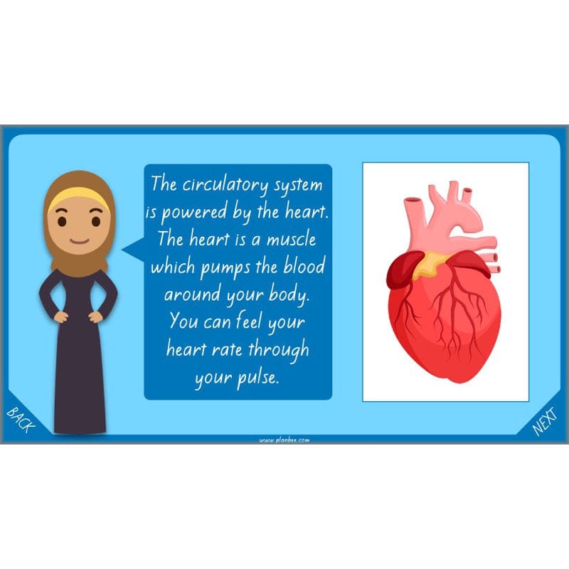 PlanBee Healthy Bodies Animals including Humans Year 6 Planning