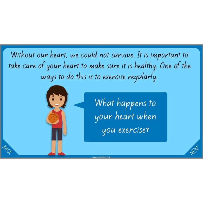 PlanBee Healthy Bodies Animals including Humans Year 6 Planning