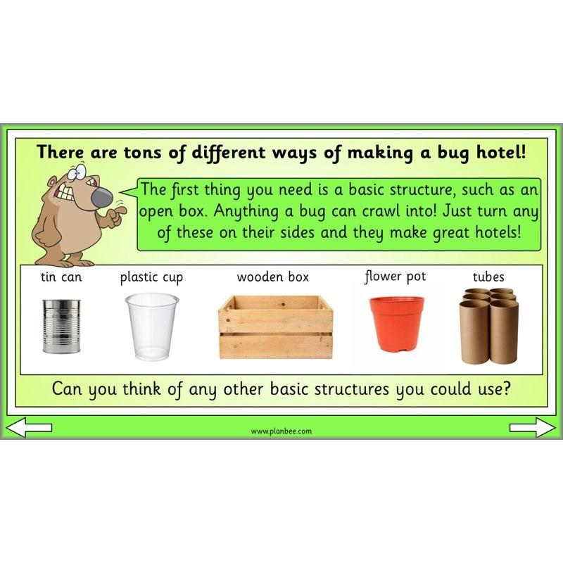 PlanBee Biodiversity KS1 Linking Local Wildlife ESR Lessons by PlanBee