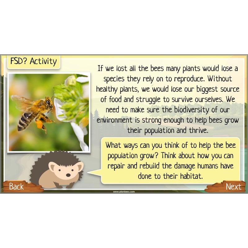 PlanBee Ecosystems for Kids | Just One Change ESR Lessons | PlanBee