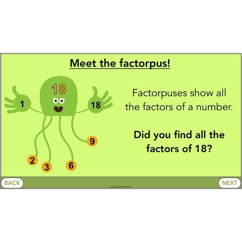 PlanBee Square Numbers, Cube Numbers and Factor Pairs | KS2 Year 5