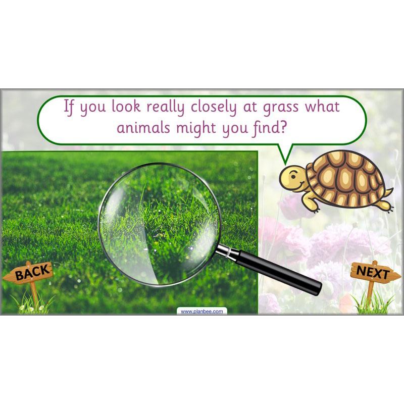 PlanBee Pets and Gardens Year 1 Science Lesson Plans by PlanBee