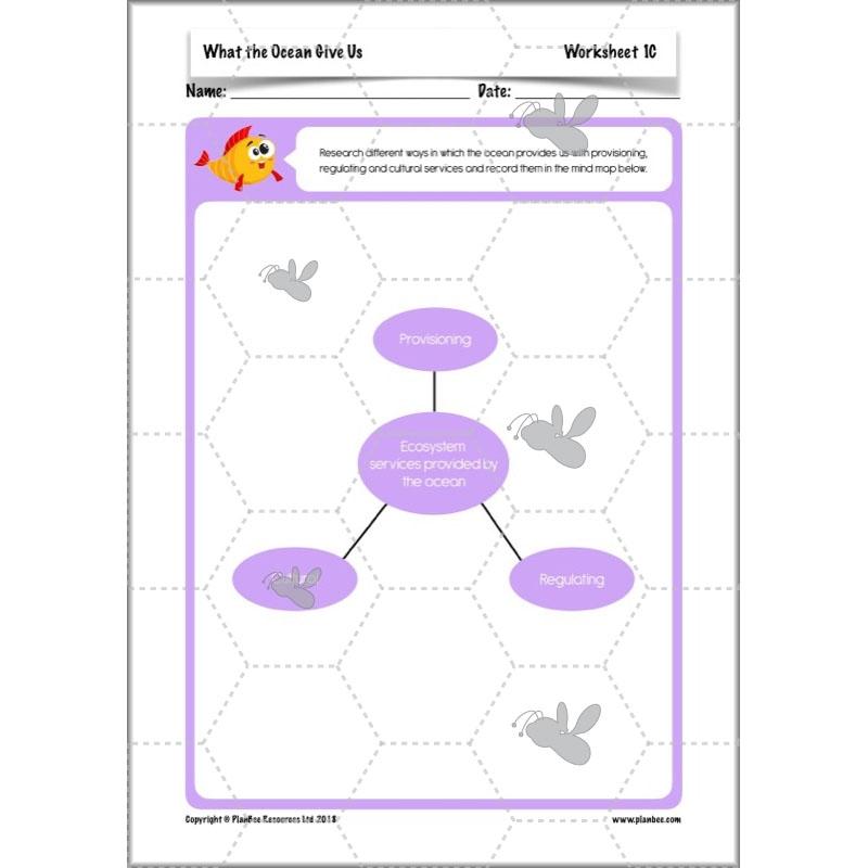 PlanBee Ocean Ecosystems KS2 ESR Lessons by PlanBee