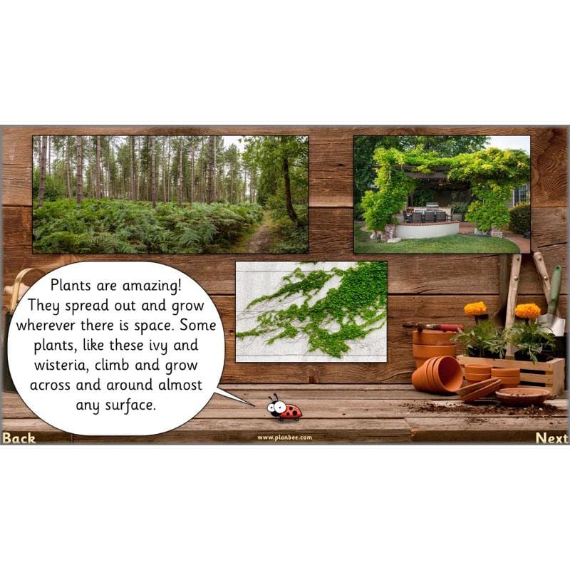 PlanBee Secret World of Plants - KS1 Science Scheme of Work: Year 2