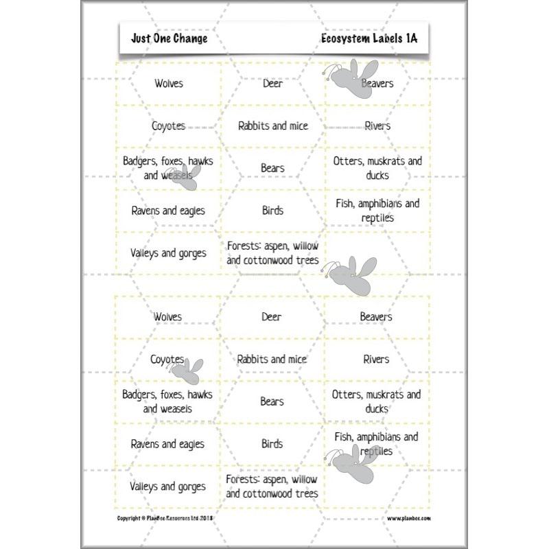 PlanBee Ecosystems for Kids | Just One Change ESR Lessons | PlanBee