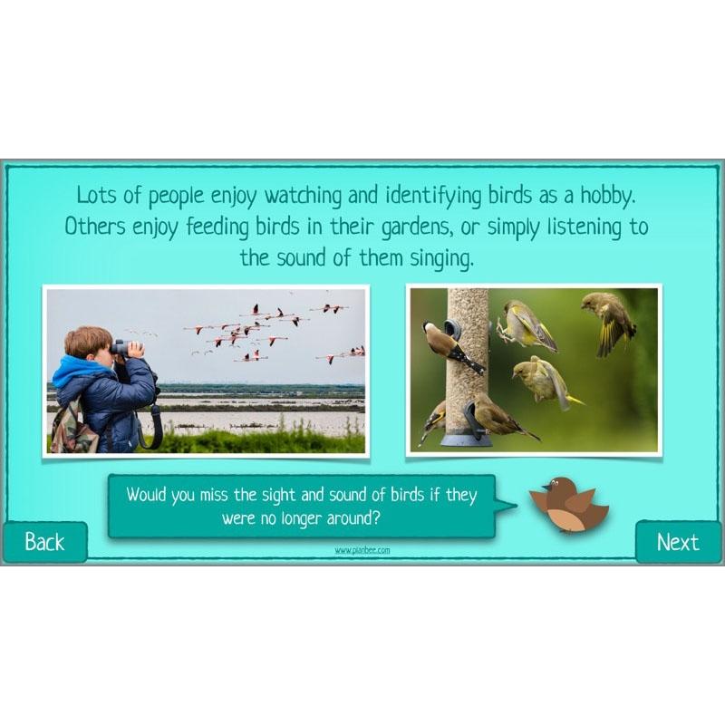 PlanBee Biodiversity KS2 ESR Lesson What is Biodiversity? by PlanBee