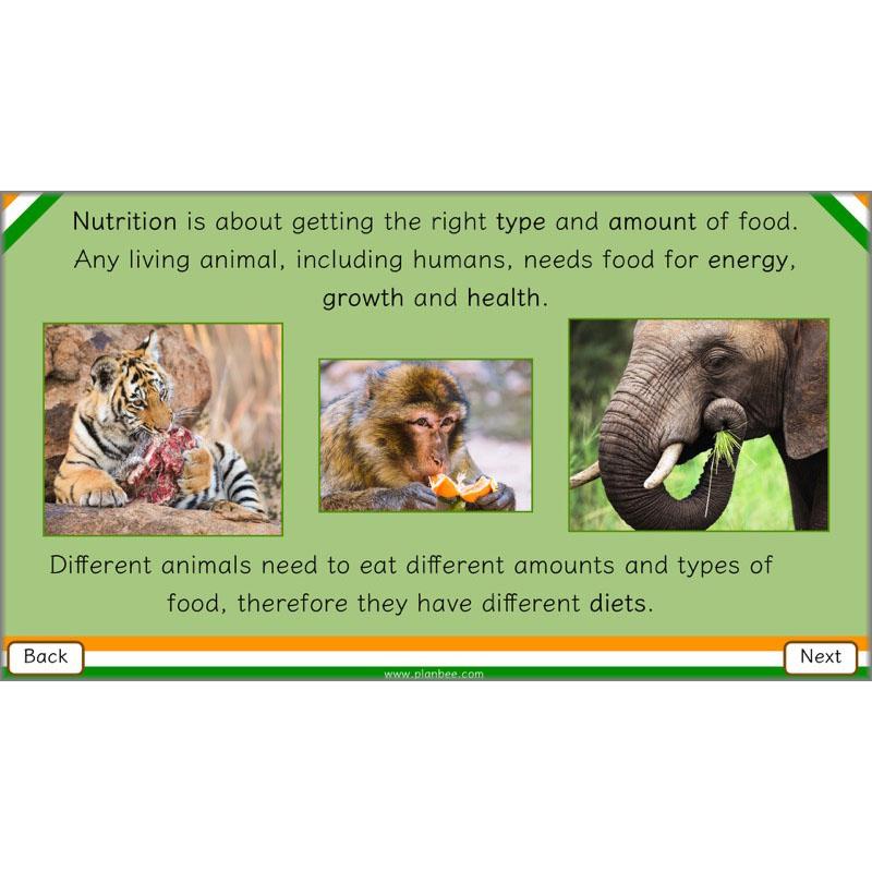 PlanBee Animals of India complete Science scheme of work for KS2