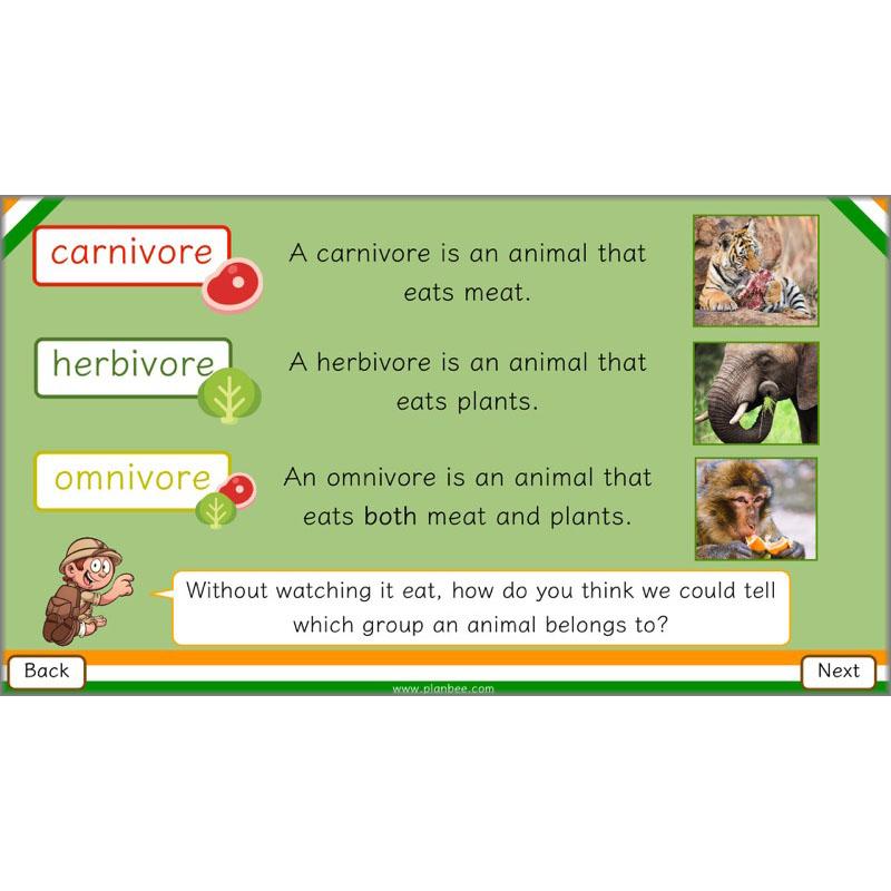 PlanBee Animals of India complete Science scheme of work for KS2