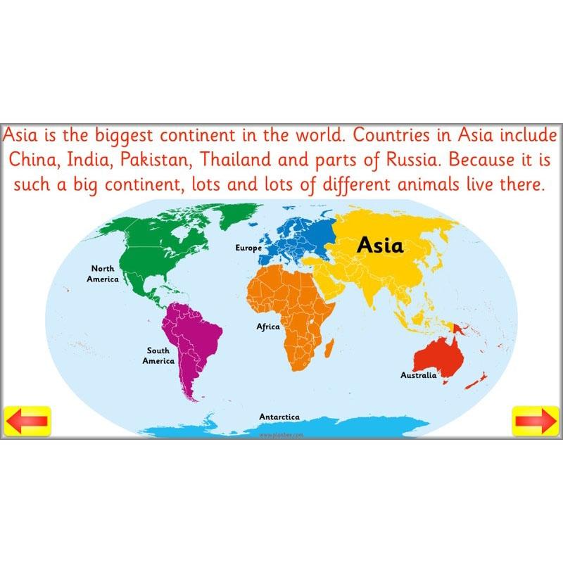 PlanBee Animal Art lessons and planning for KS1 created by PlanBee