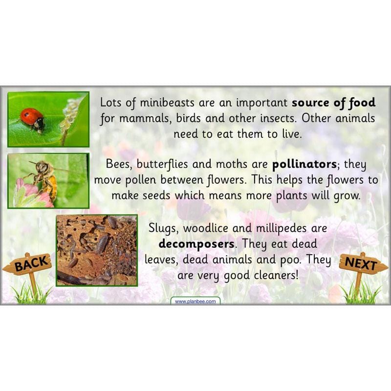 PlanBee Pets and Gardens Year 1 Science Lesson Plans by PlanBee