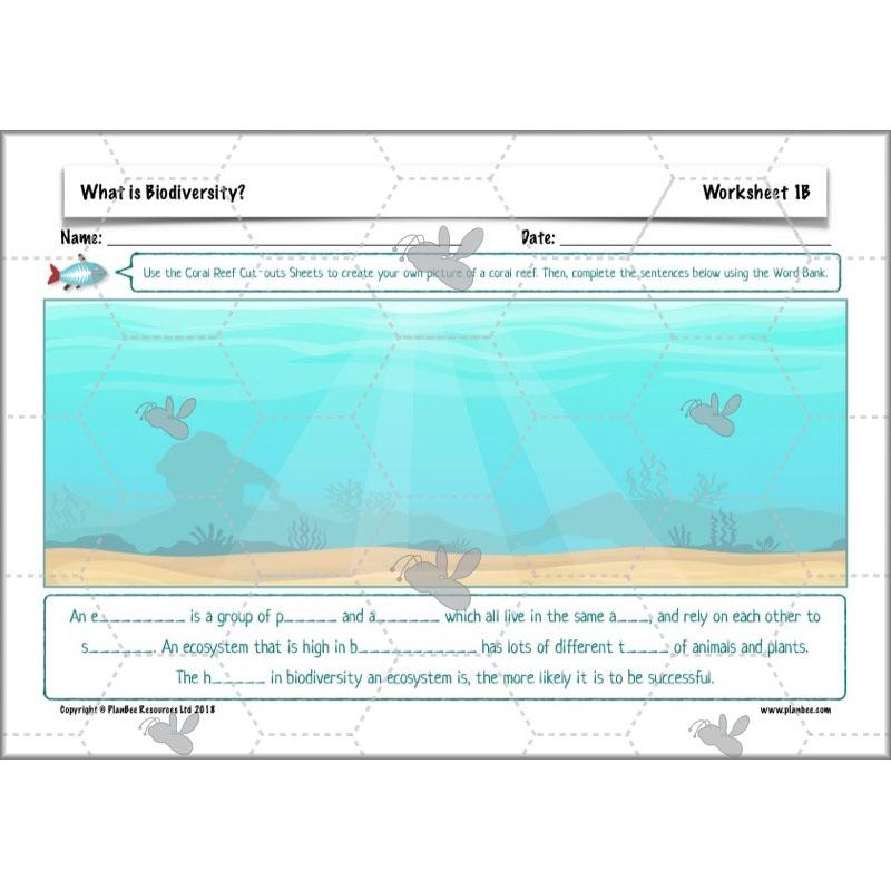 PlanBee Biodiversity KS2 ESR Lesson What is Biodiversity? by PlanBee