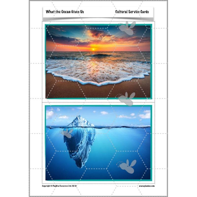 PlanBee Ocean Ecosystems KS2 ESR Lessons by PlanBee