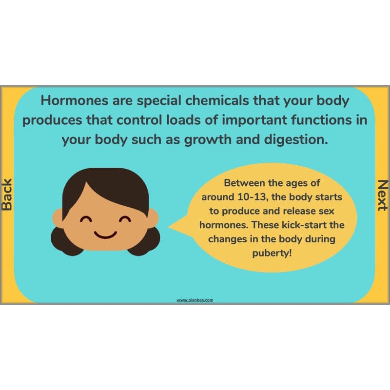 PlanBee Human Life Cycle KS2 lessons | Year 5 Science by PlanBee