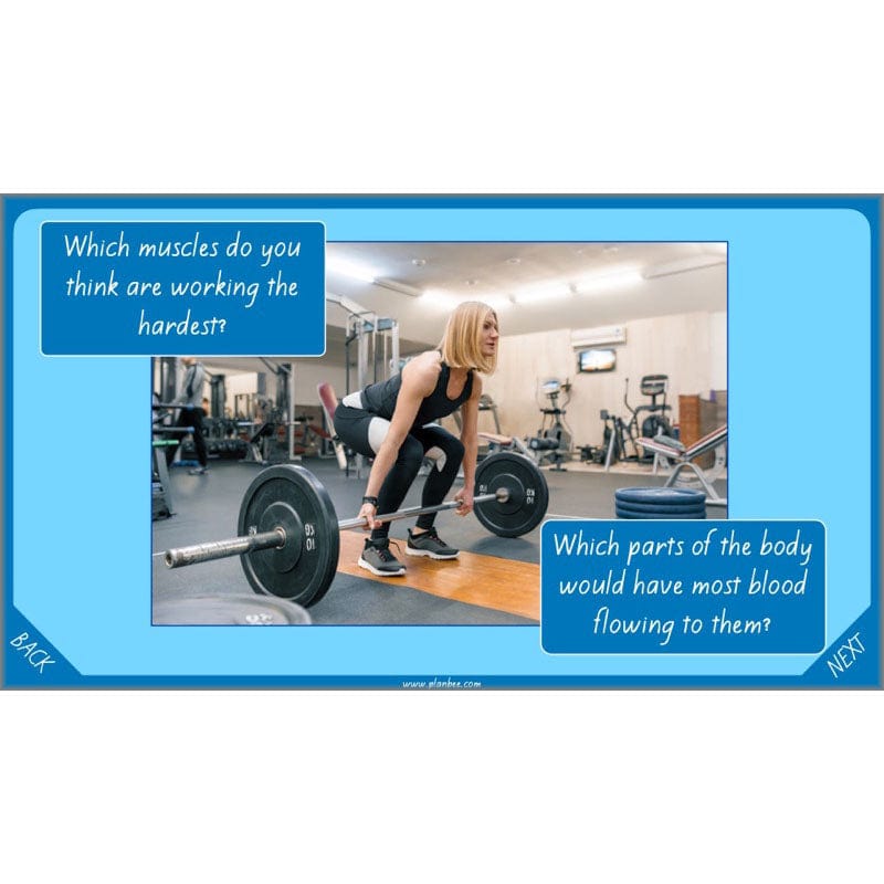 PlanBee Healthy Bodies Animals including Humans Year 6 Planning