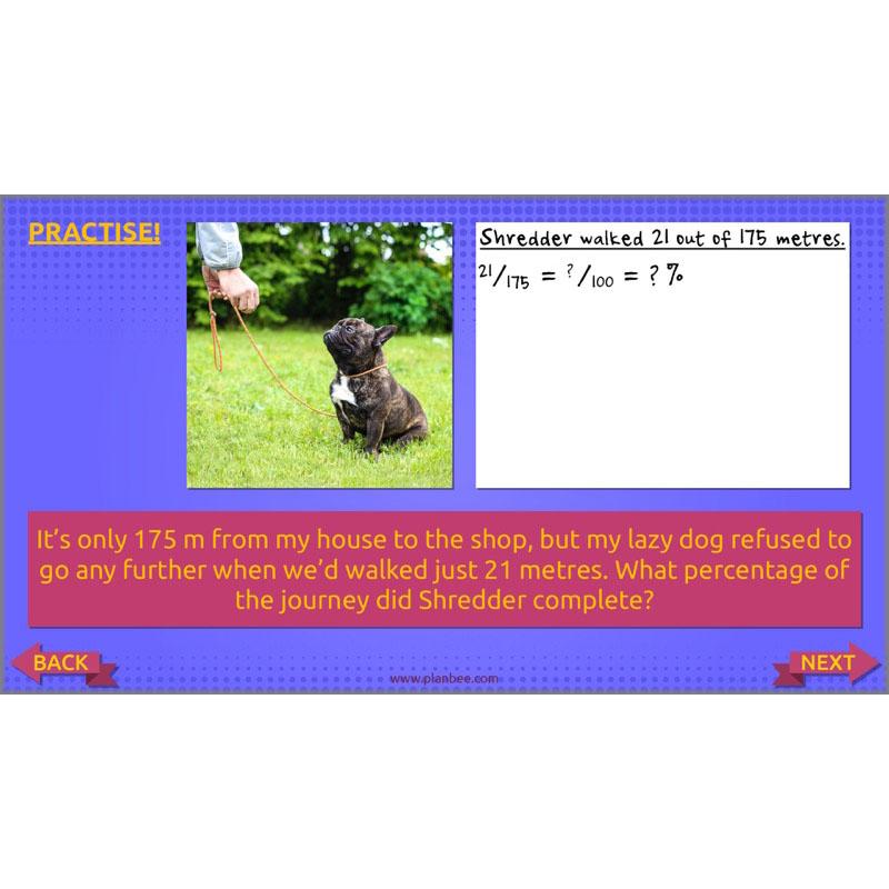 PlanBee Ratio, Percentages and Proportion: Year 6 Maths
