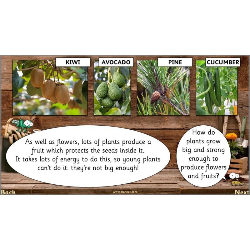 PlanBee Secret World of Plants - KS1 Science Scheme of Work: Year 2