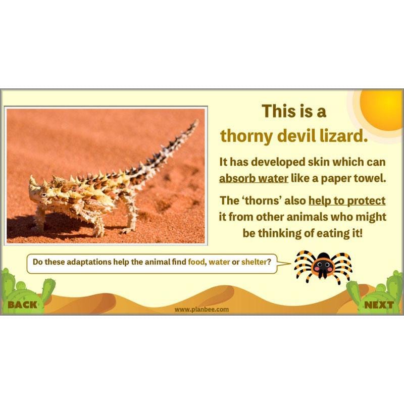 PlanBee Desert Life: KS2 Science Plans