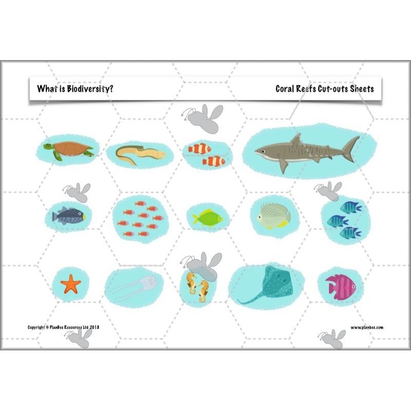 PlanBee Biodiversity KS2 ESR Lesson What is Biodiversity? by PlanBee