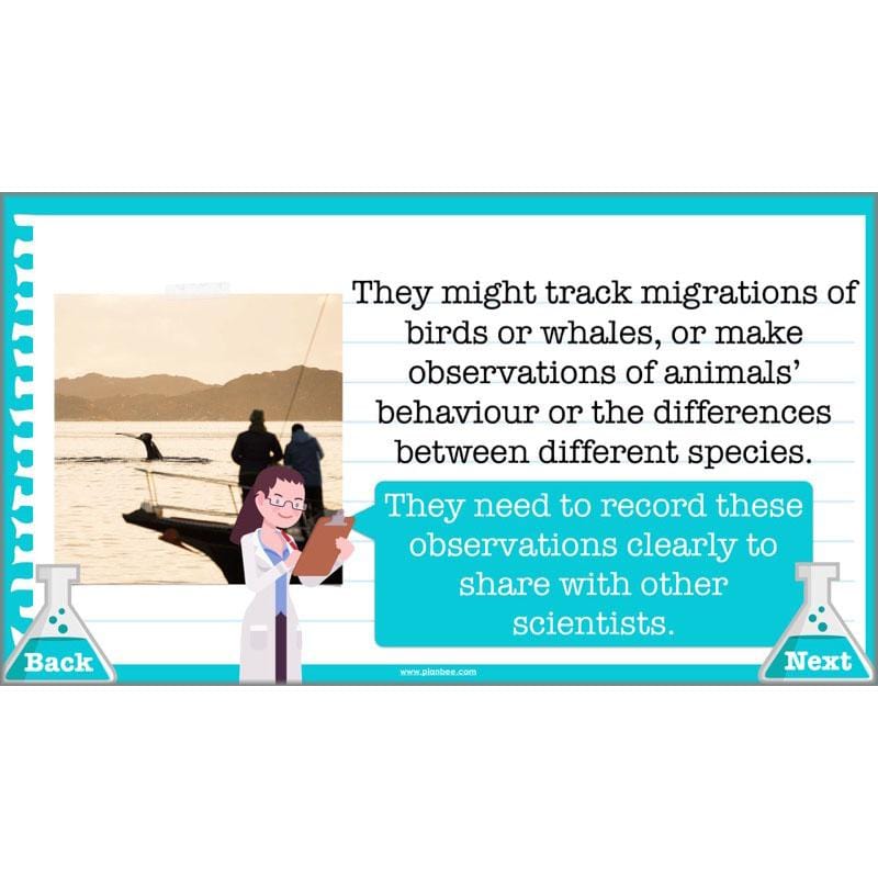 Scientific Enquiry KS2 Lessons - What Do Scientists Do?