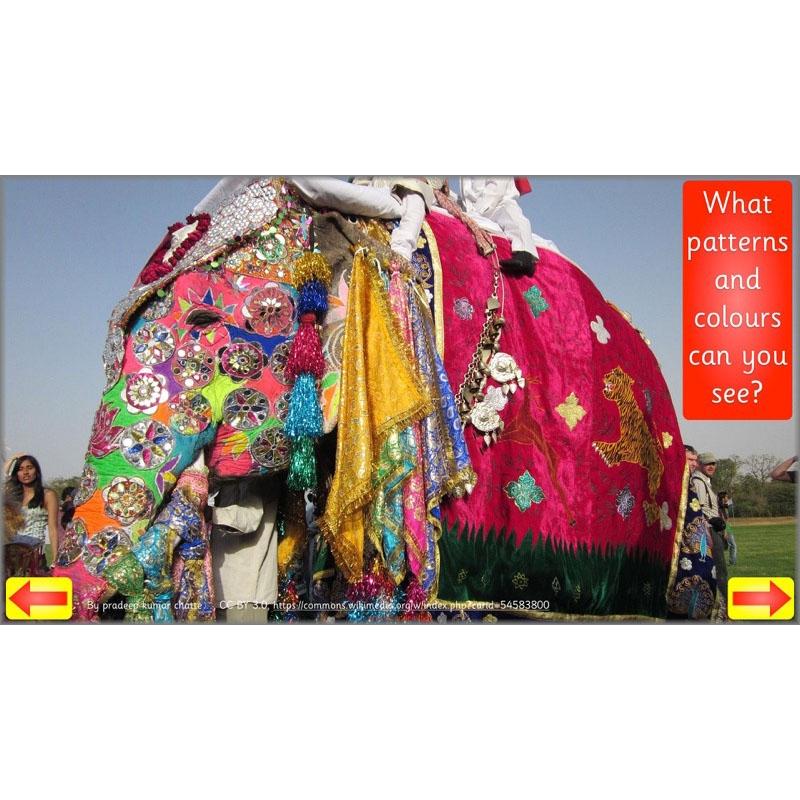 PlanBee Animal Art lessons and planning for KS1 created by PlanBee