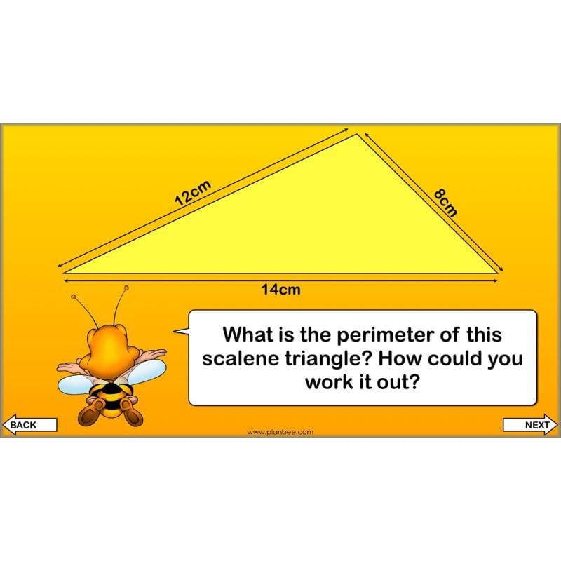 PlanBee Year 4 Properties of 2D Shapes KS2 Maths by PlanBee