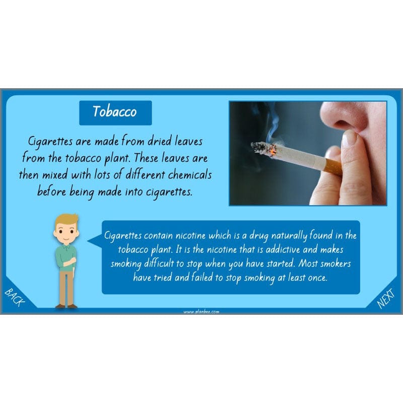 PlanBee Healthy Bodies Animals including Humans Year 6 Planning