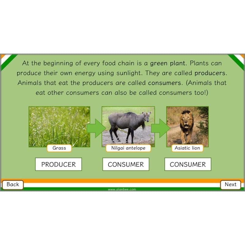 PlanBee Animals of India complete Science scheme of work for KS2