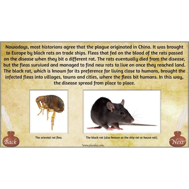 PlanBee What was life like in Elizabethan England? PlanBee KS2 History