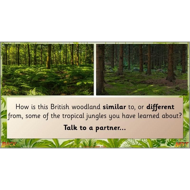 PlanBee Let's go to the Jungle Geography lessons for KS1