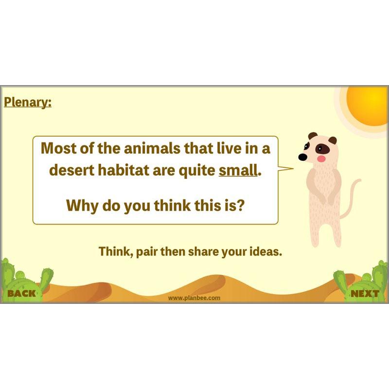 PlanBee Desert Life: KS2 Science Plans
