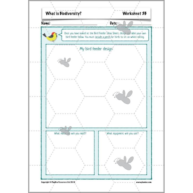PlanBee Biodiversity KS2 ESR Lesson What is Biodiversity? by PlanBee