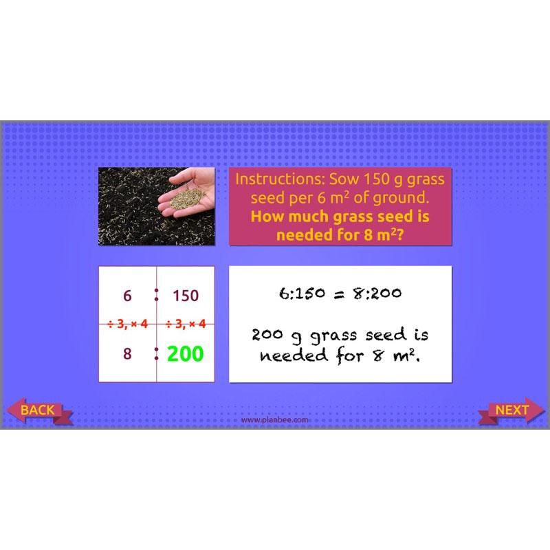 PlanBee Ratio, Percentages and Proportion: Year 6 Maths