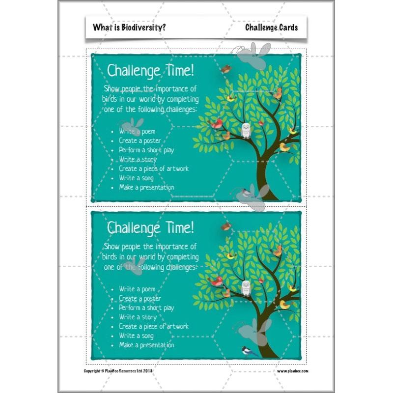 PlanBee Biodiversity KS2 ESR Lesson What is Biodiversity? by PlanBee
