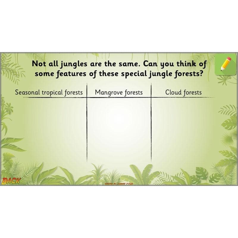 PlanBee Let's go to the Jungle Geography lessons for KS1