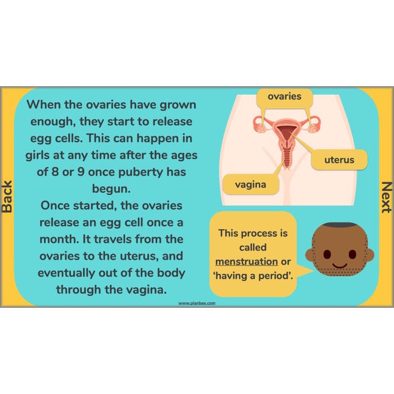 PlanBee Human Life Cycle KS2 lessons | Year 5 Science by PlanBee