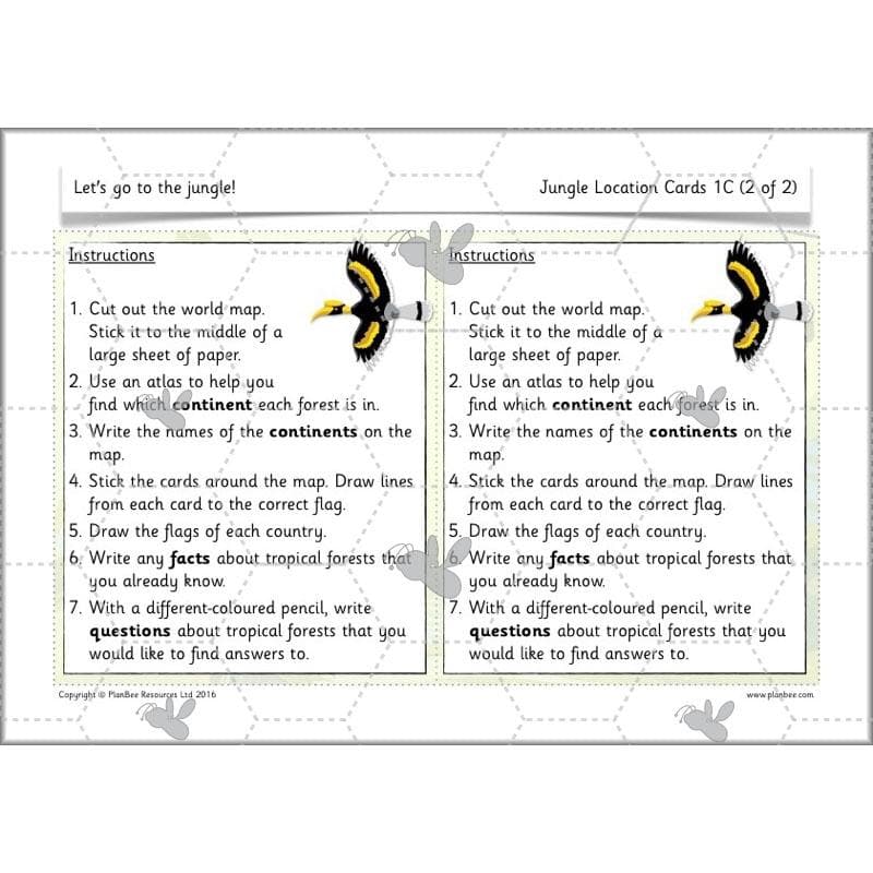 PlanBee Let's go to the Jungle Geography lessons for KS1
