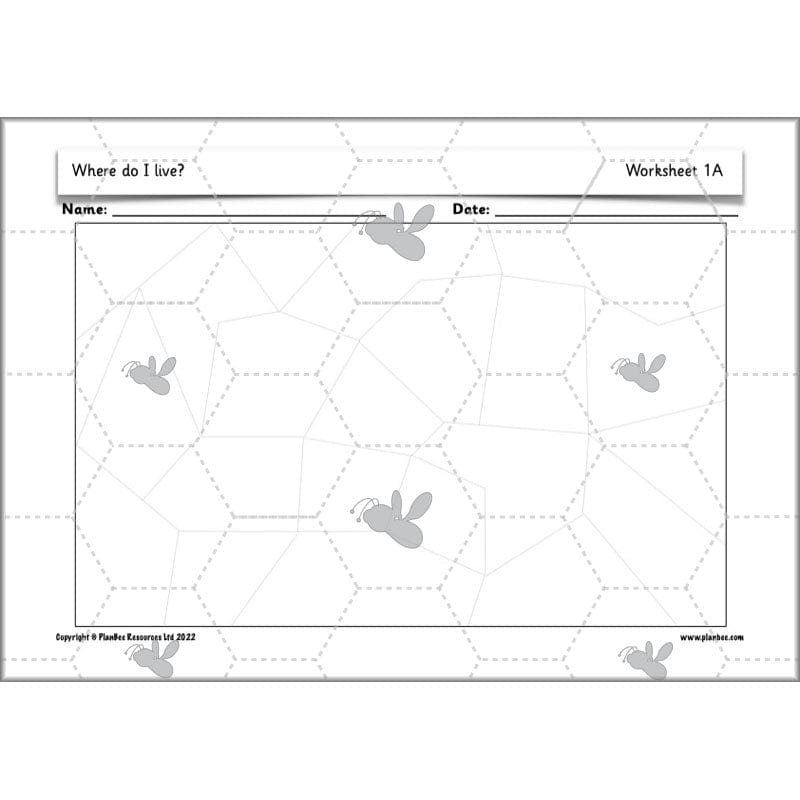 PlanBee Our Local Area KS1 Geography Planning | PlanBee